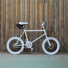 Load image into Gallery viewer, fixed gear bike 20 inch Single speed Bike dsic 20 inch bicycle fixie freewheel frame mini bicycle fit height 155cm to 180cm