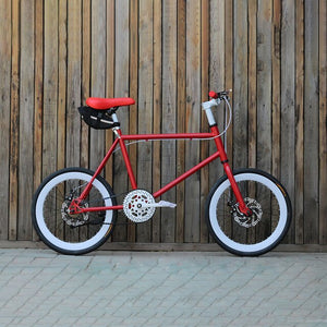 fixed gear bike 20 inch Single speed Bike dsic 20 inch bicycle  fixie freewheel frame mini bicycle fit height 155cm to 180cm